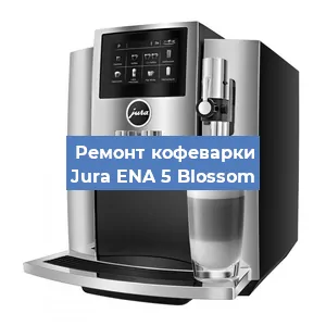Замена ТЭНа на кофемашине Jura ENA 5 Blossom в Нижнем Новгороде